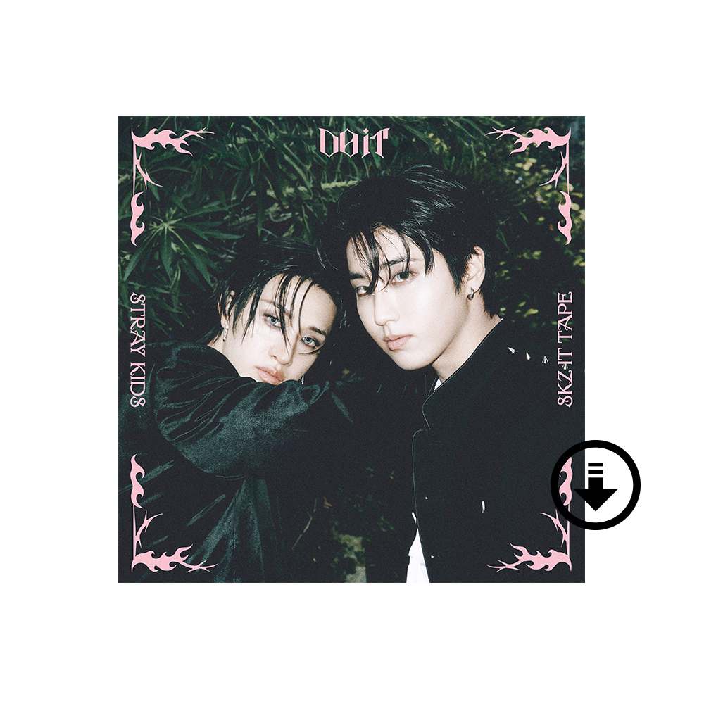 SKZ IT TAPE 'DO IT' - EXCLUSIVE DIGITAL VER. (BANG CHAN & HAN)