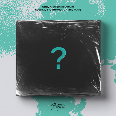 Stray Kids 스트레이 키즈 Official Store