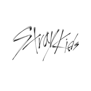 5 STAR DIGIPACK – Stray Kids 스트레이 키즈 Official Store